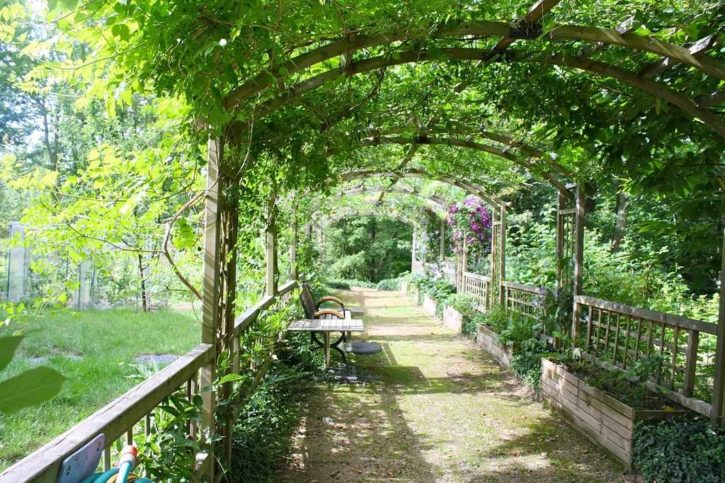 pergola secret declaration